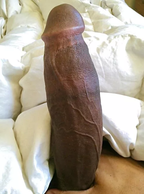 Anyone wanna lend a throat to my morning wood?