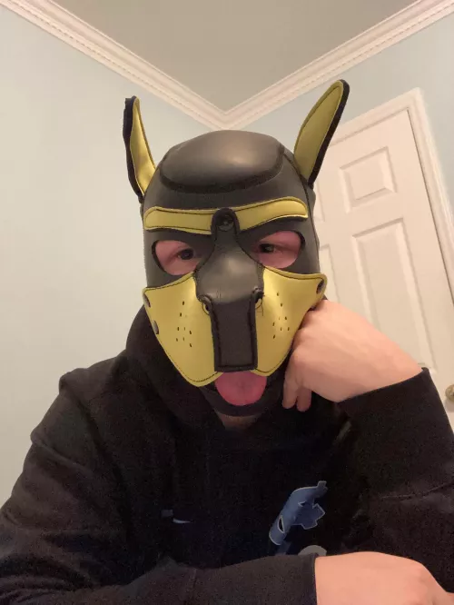 Clearly not a thought in that puppy brain 19