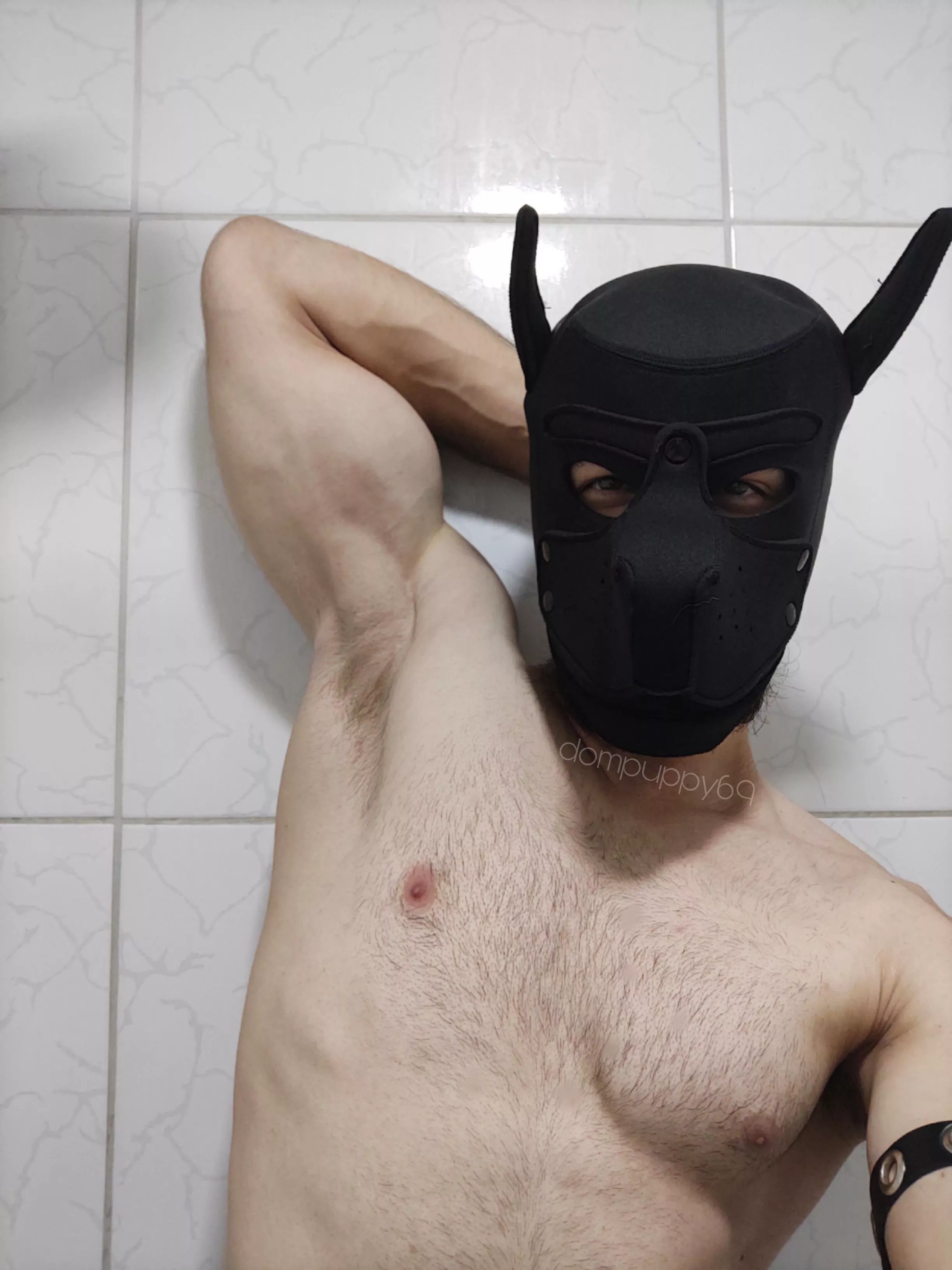 Did you like my armpit?