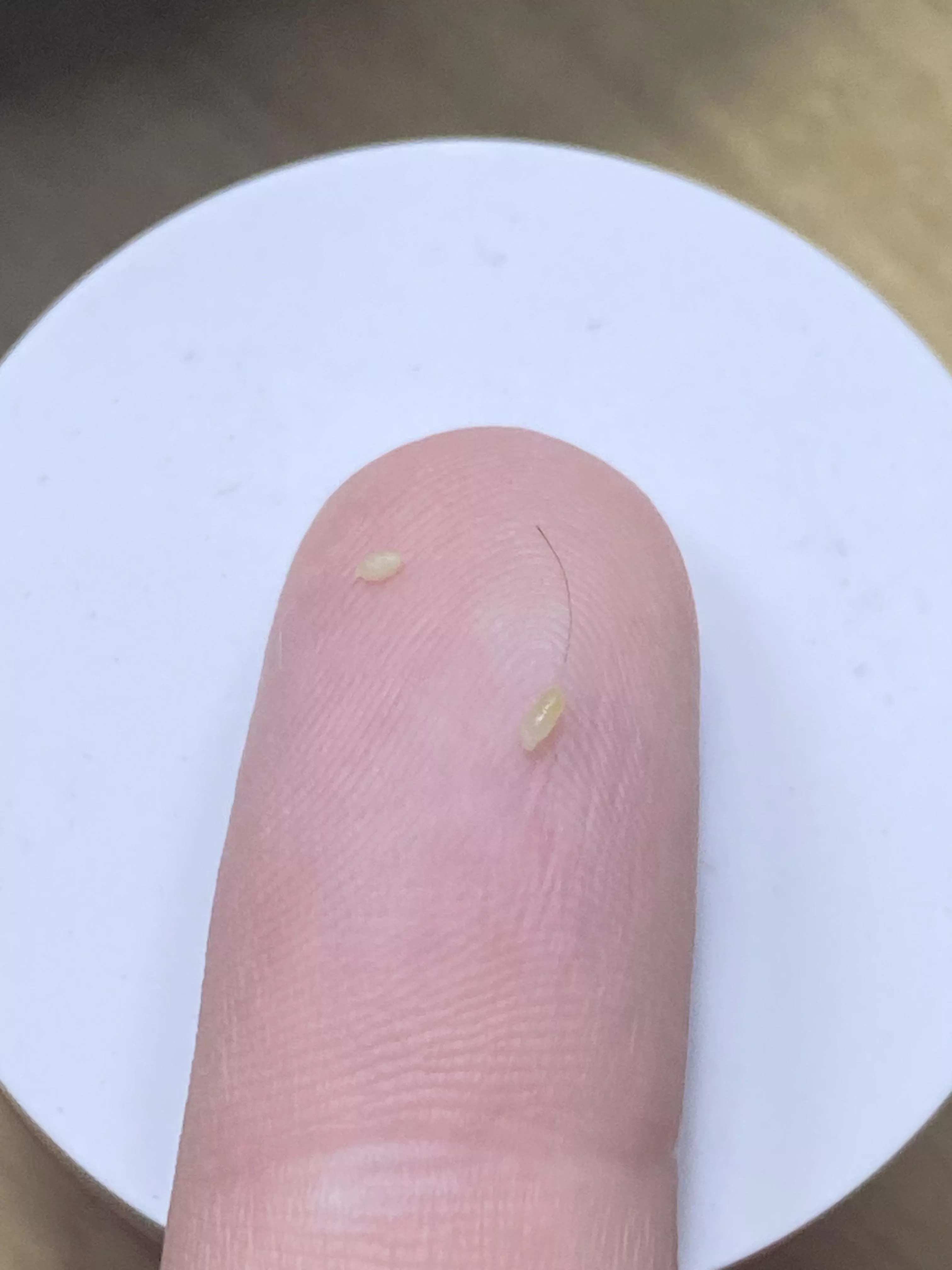 Didn’t get it on video but it was a satisfying pop