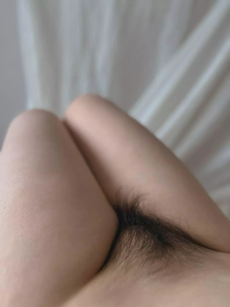 Do you want to find out what is hidden behind this delicate fuzz?