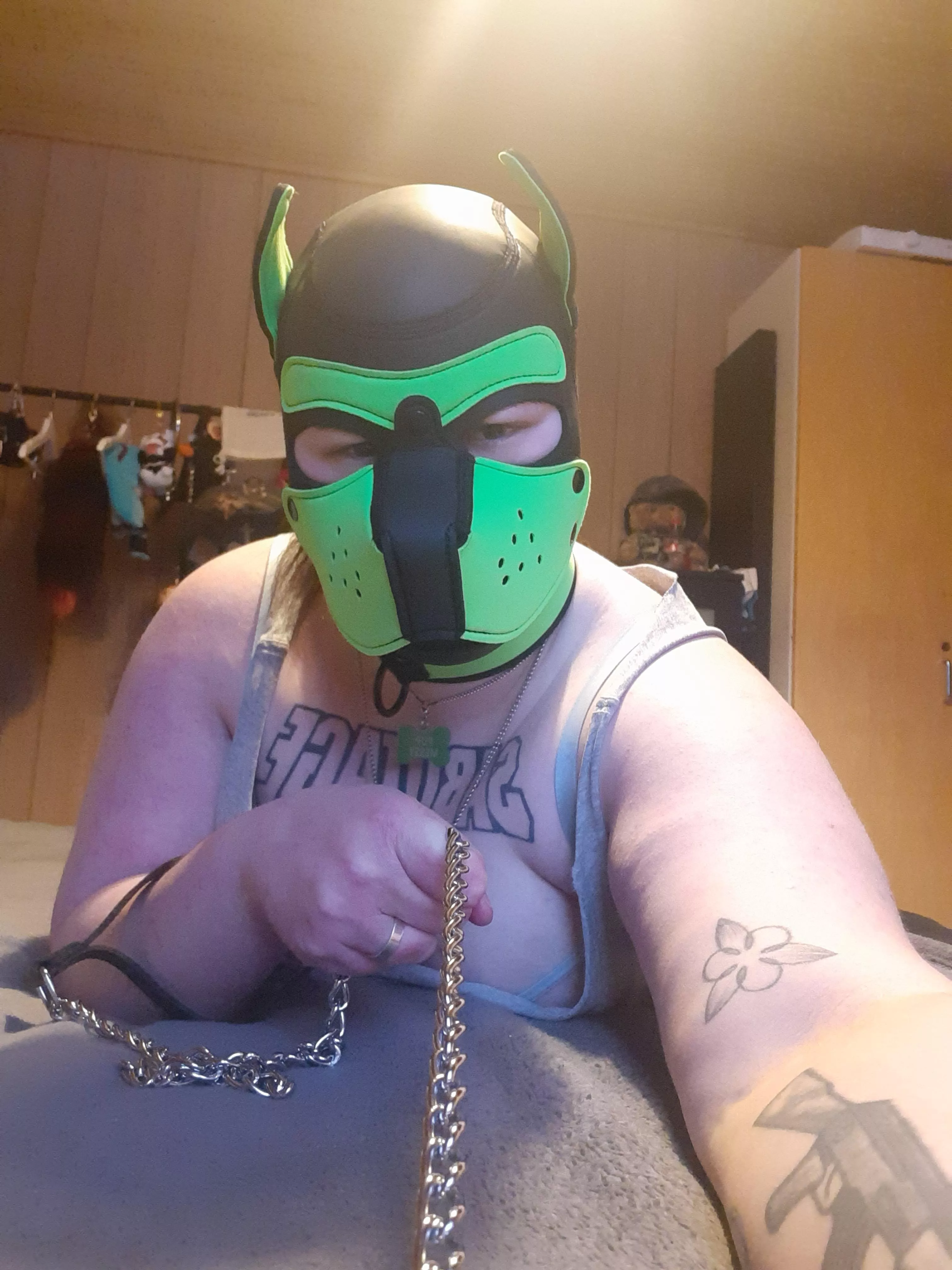 Good pups do as they're told and you are coming to bed, now