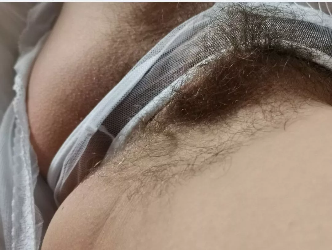 How many times would you fuck me?