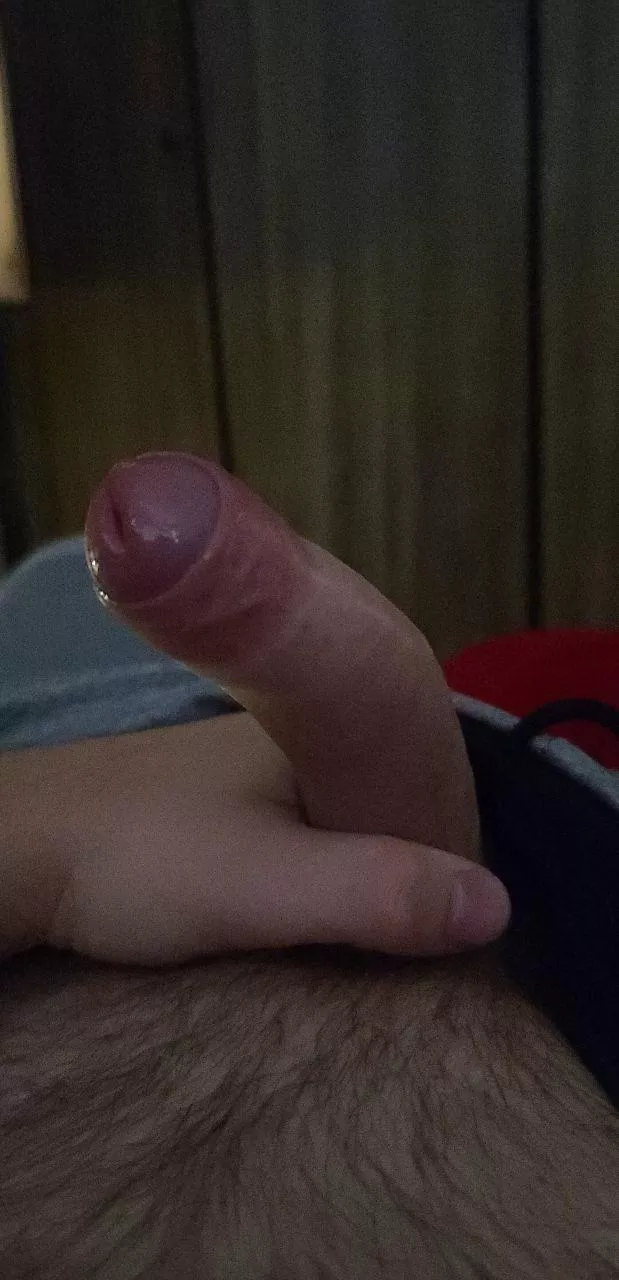 I really should be getting ready for bed, but I just keep getting distracted. [M28]