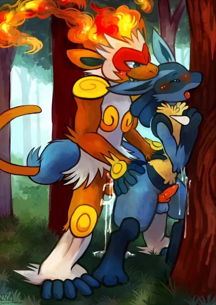 Infernape x Lucario