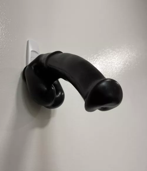 Just arrived today. Not a bd, fetish zone Pegasus wearable w/ballsack.