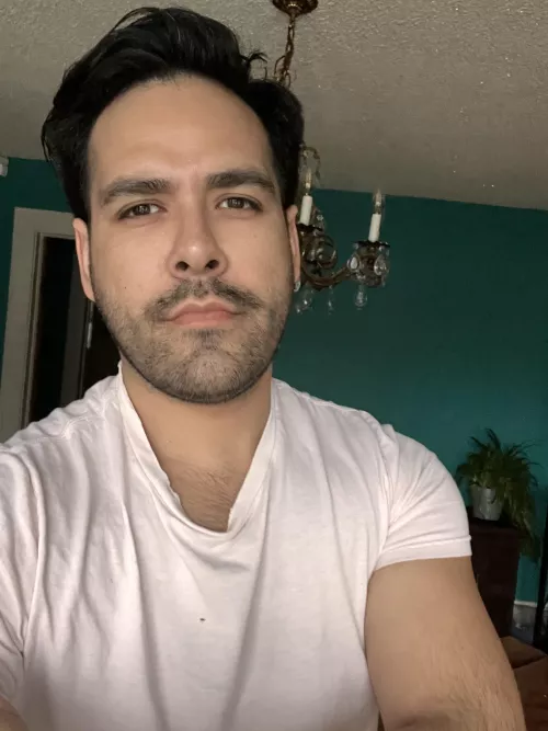 Lazy Sunday , in the mood to cuddle .