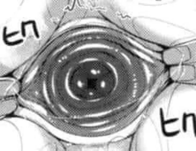 LF Mono Source: 1girl, fingers, foreign sfx, labia majora, labia minora, opened vagina, pubis, sweat, vagina, vaginal fluid, vibrations