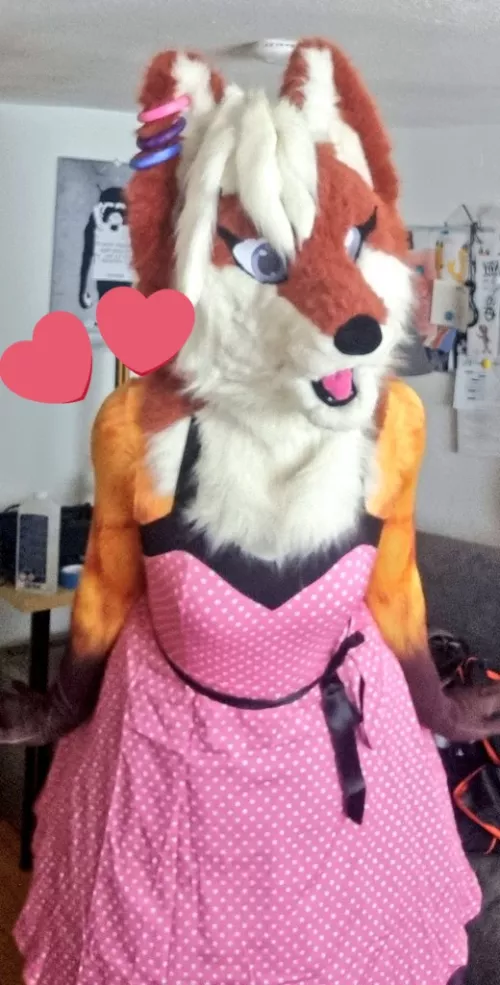 Mau! Hello my cuties