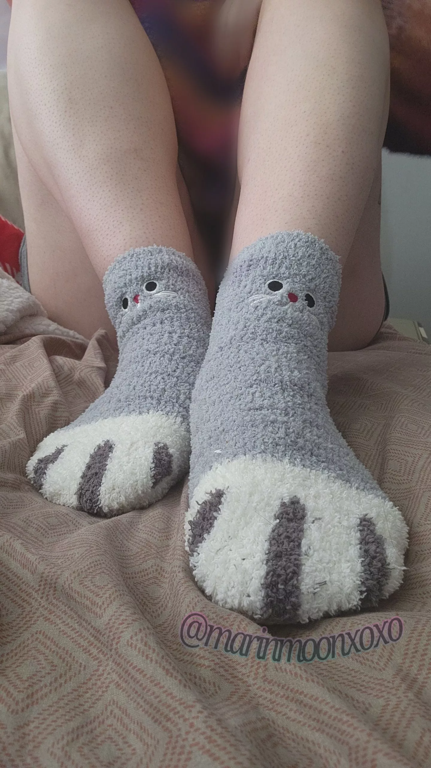 purrrrfect pair ✨️ dm me for cute little sock paws 🐾