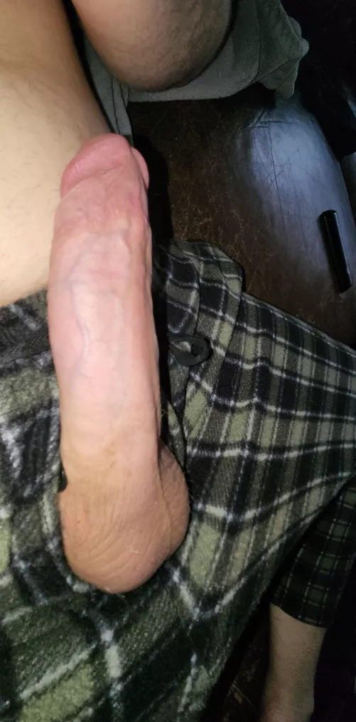suck my cock