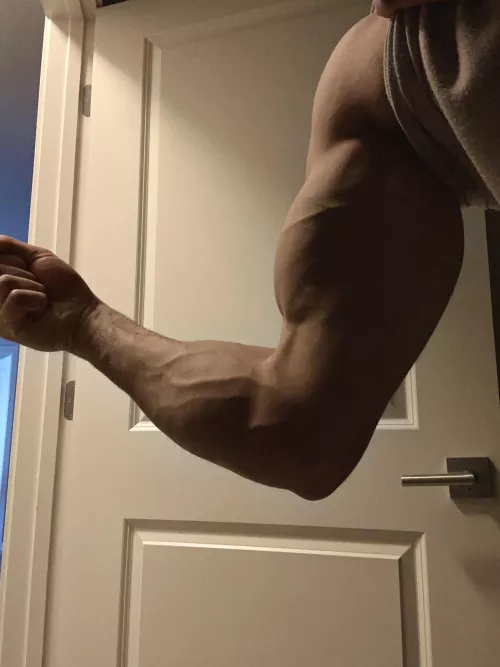 Thought the forearm world might appreciate this