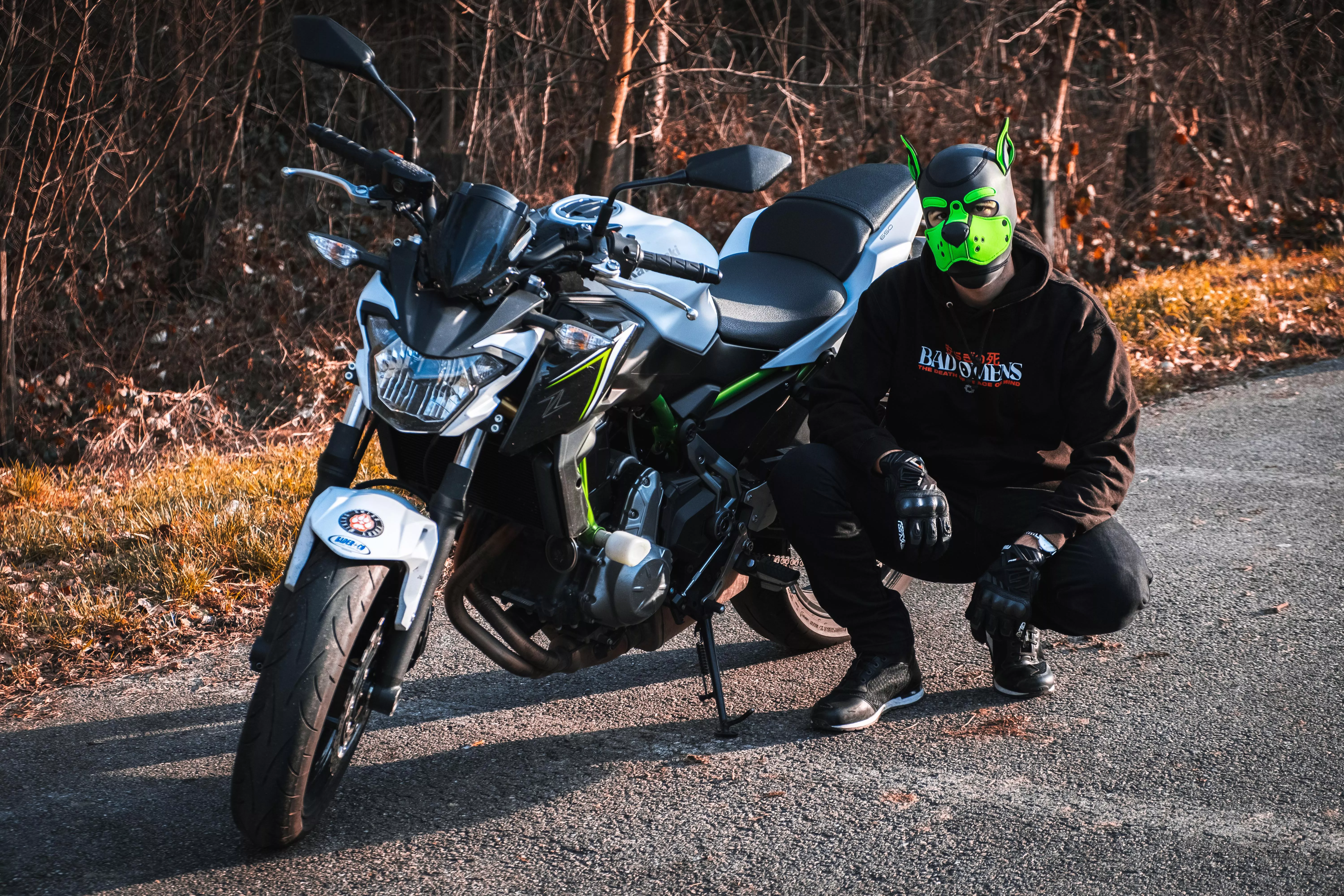 Wanna go for a ride ? 🐶