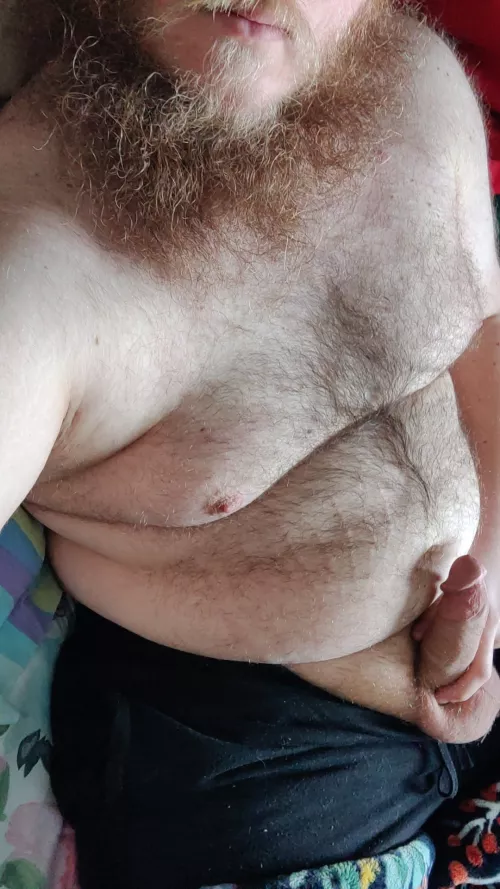 Who wants to distract me from work?