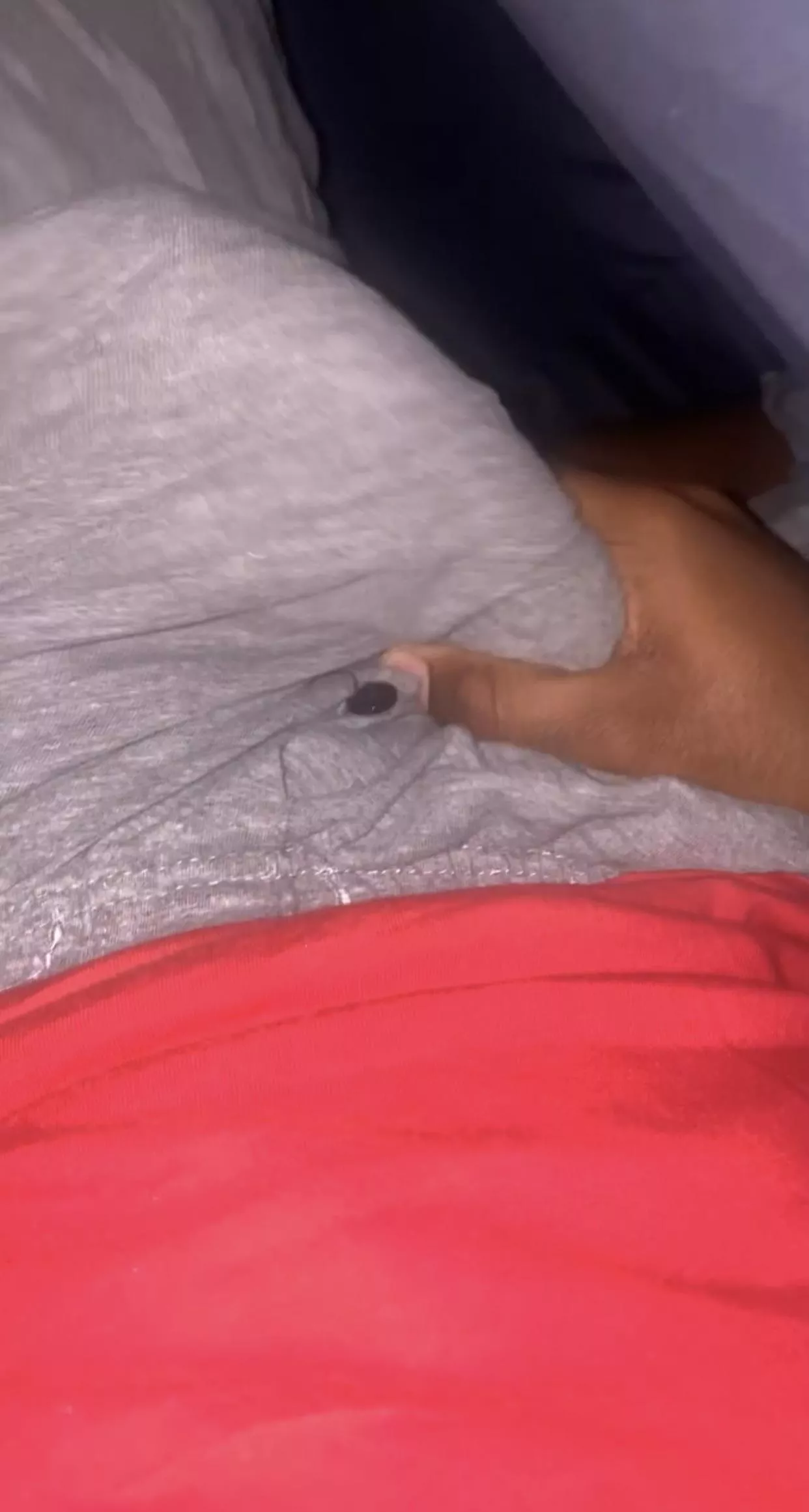 22 BBC straight curious. no face. hmu sc: kameron-diggs