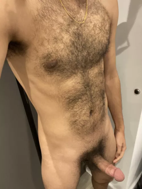 24 m uk fit+++ arayan-a