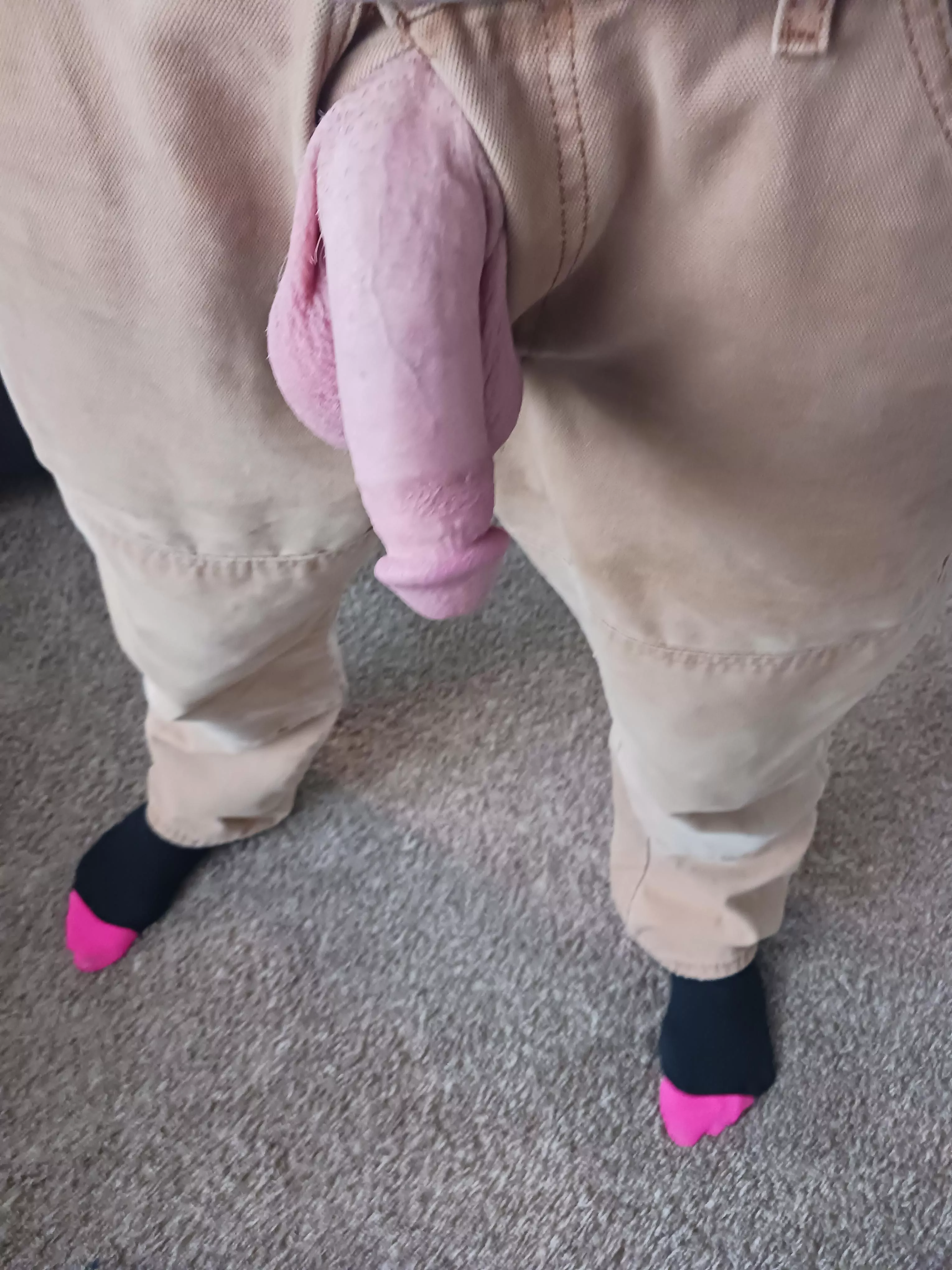 [49] Daddy wants to feel it getting hard in your mouth!!!