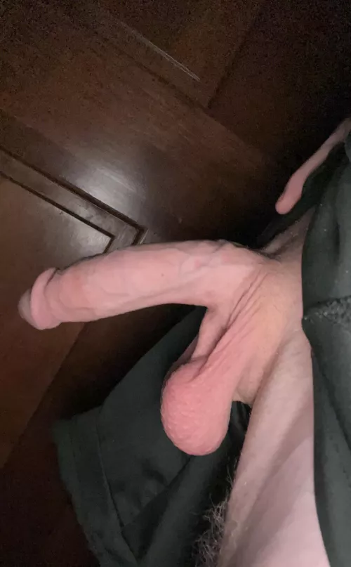Anyone wanna help me get hard ? 😏