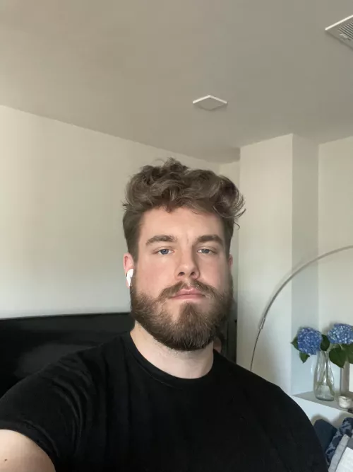 are blue hydrangeas symbolic