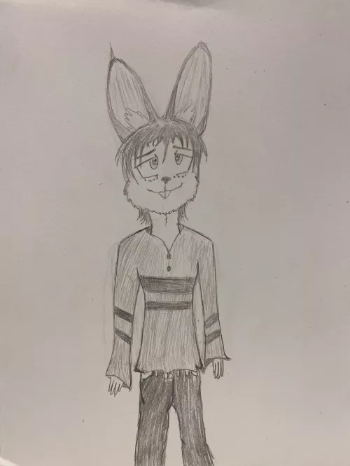 As a starting artist in the furry community, my first drawing is of my Boyfriend’s OC.