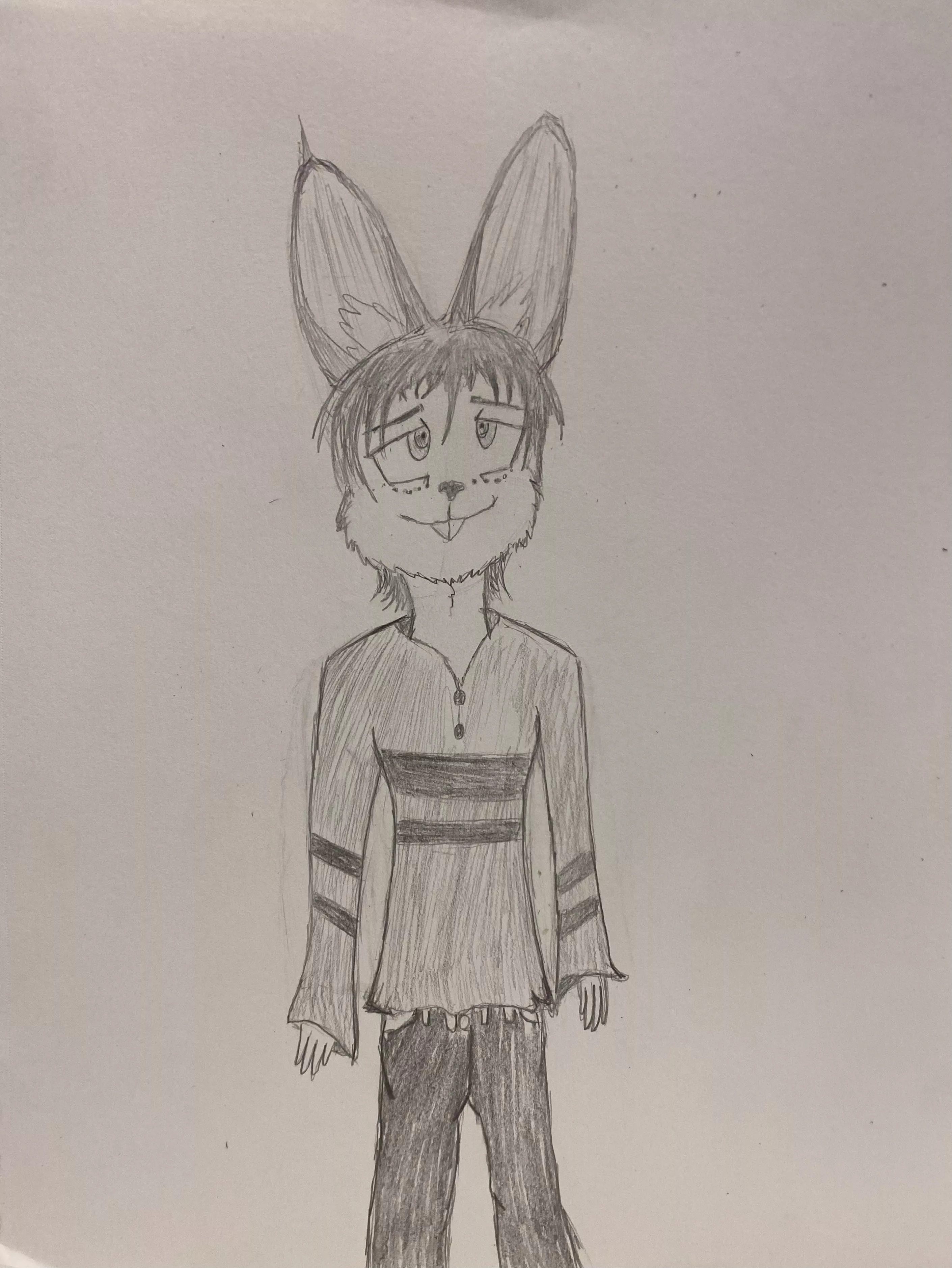 As a starting artist in the furry community, my first drawing is of my Boyfriend’s OC.