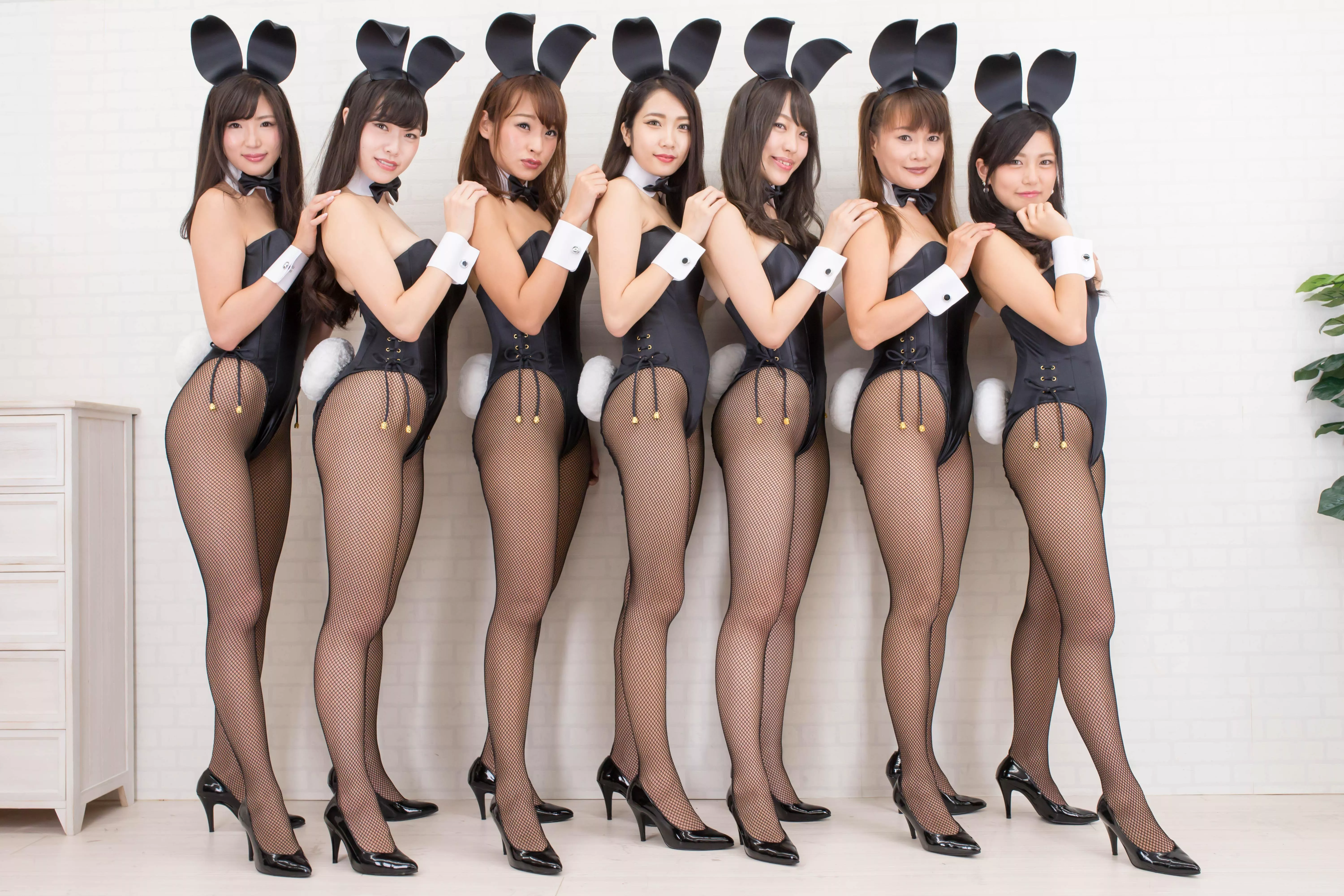 Asian Bunnies