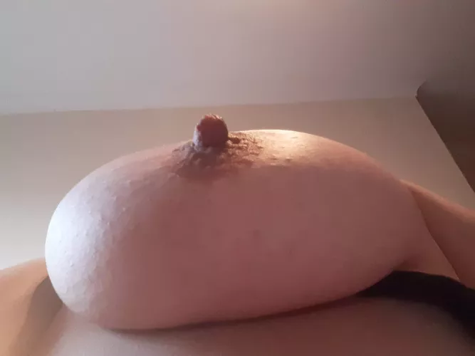 Erect nipple in need of a suck.