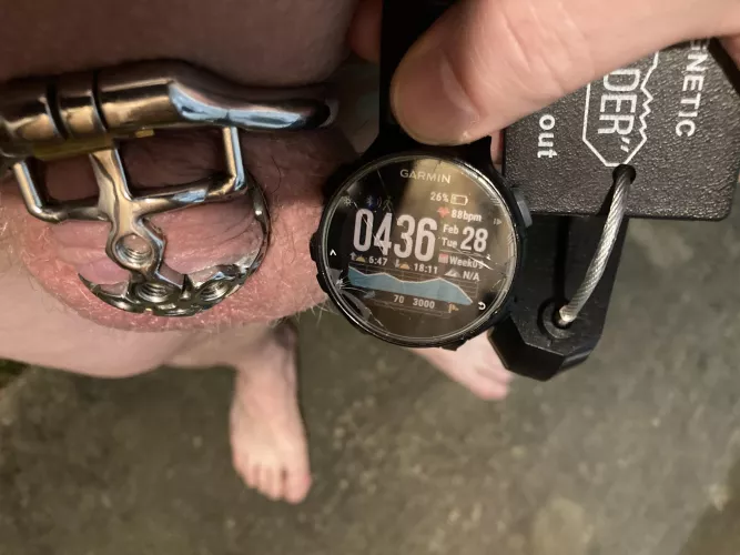 Goddess, thank You for keeping Your worthless little sissy clitty locked up. It’s been 26 days since Your pet was last allowed to play with Your property.