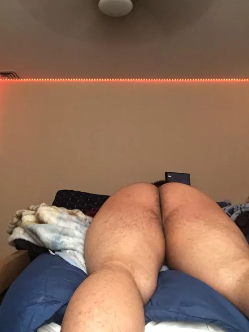 I need someone to lay with while it’s snowing out today