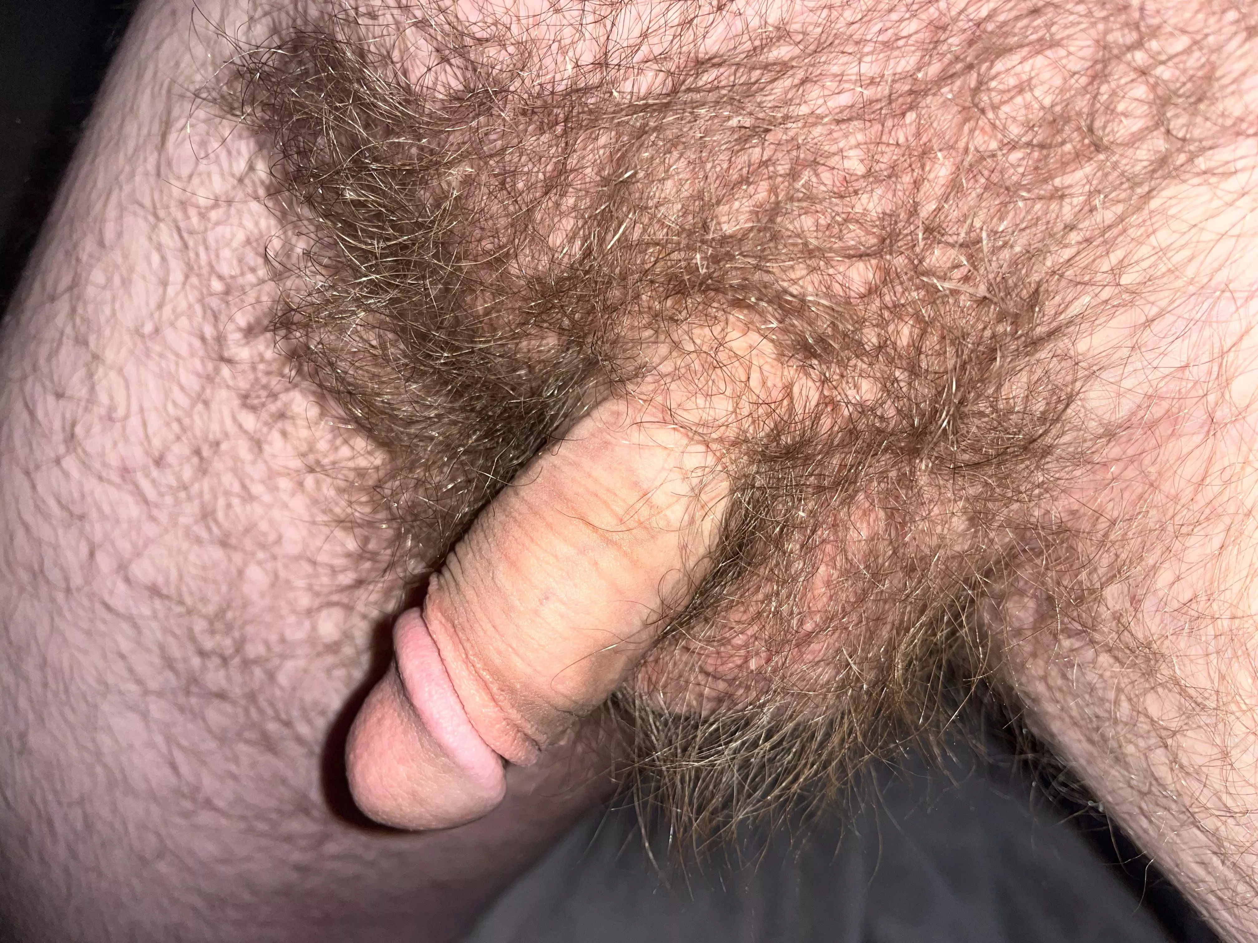 i think i’ve got one of the hairiest dicks on reddit…