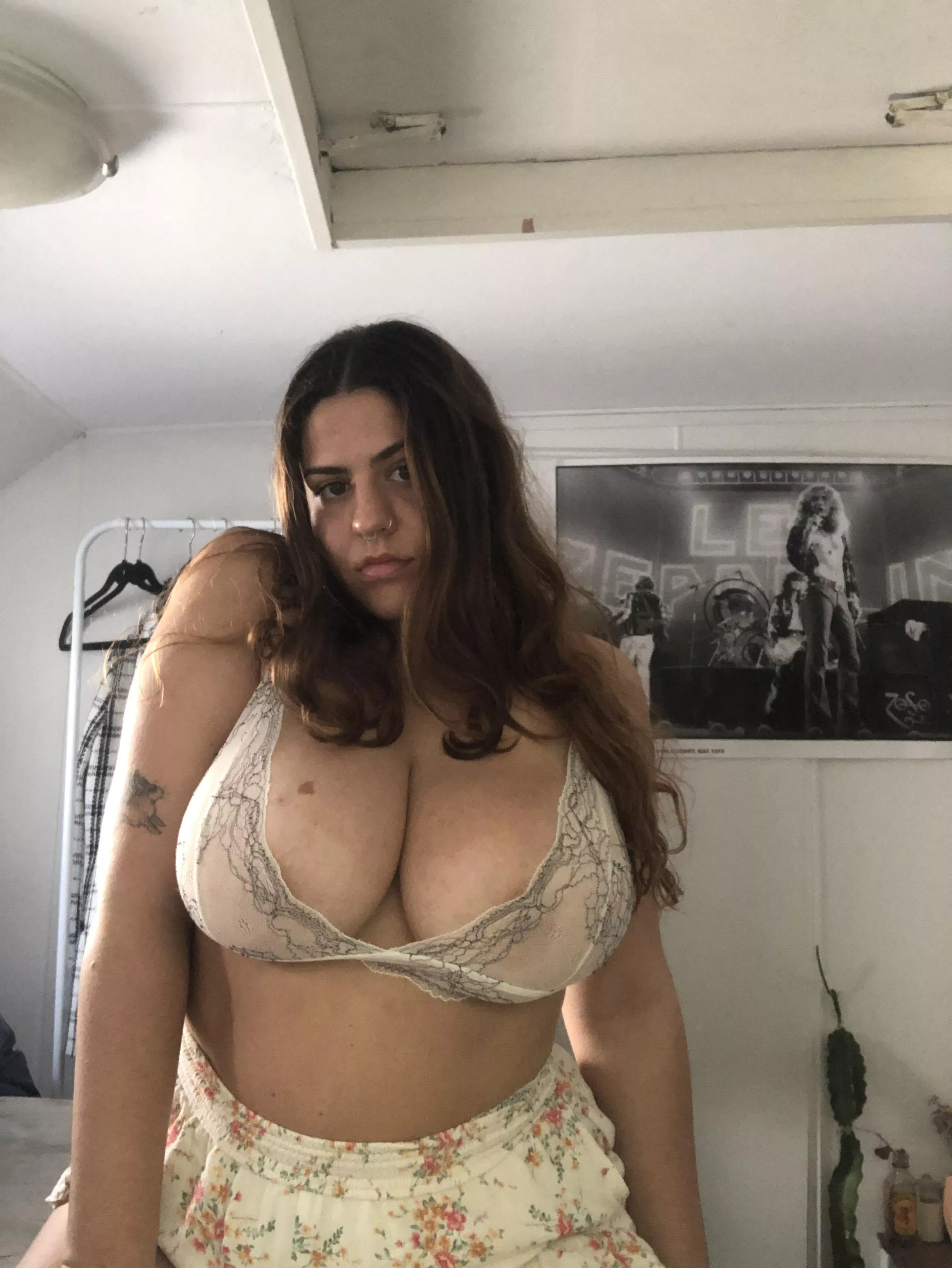 if these tits could speak, they'd be screaming for your tongue