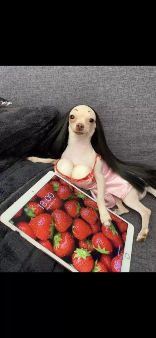 kim look great today