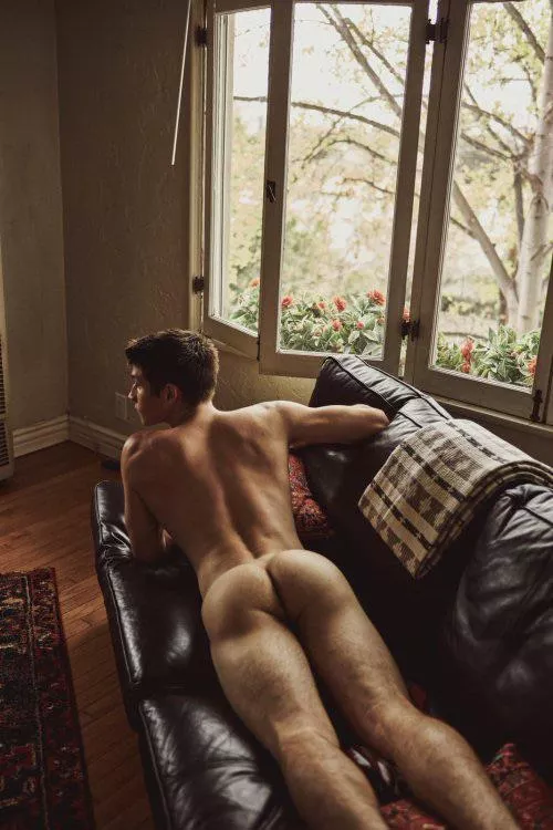 Milo lounging at home in LA [OC]