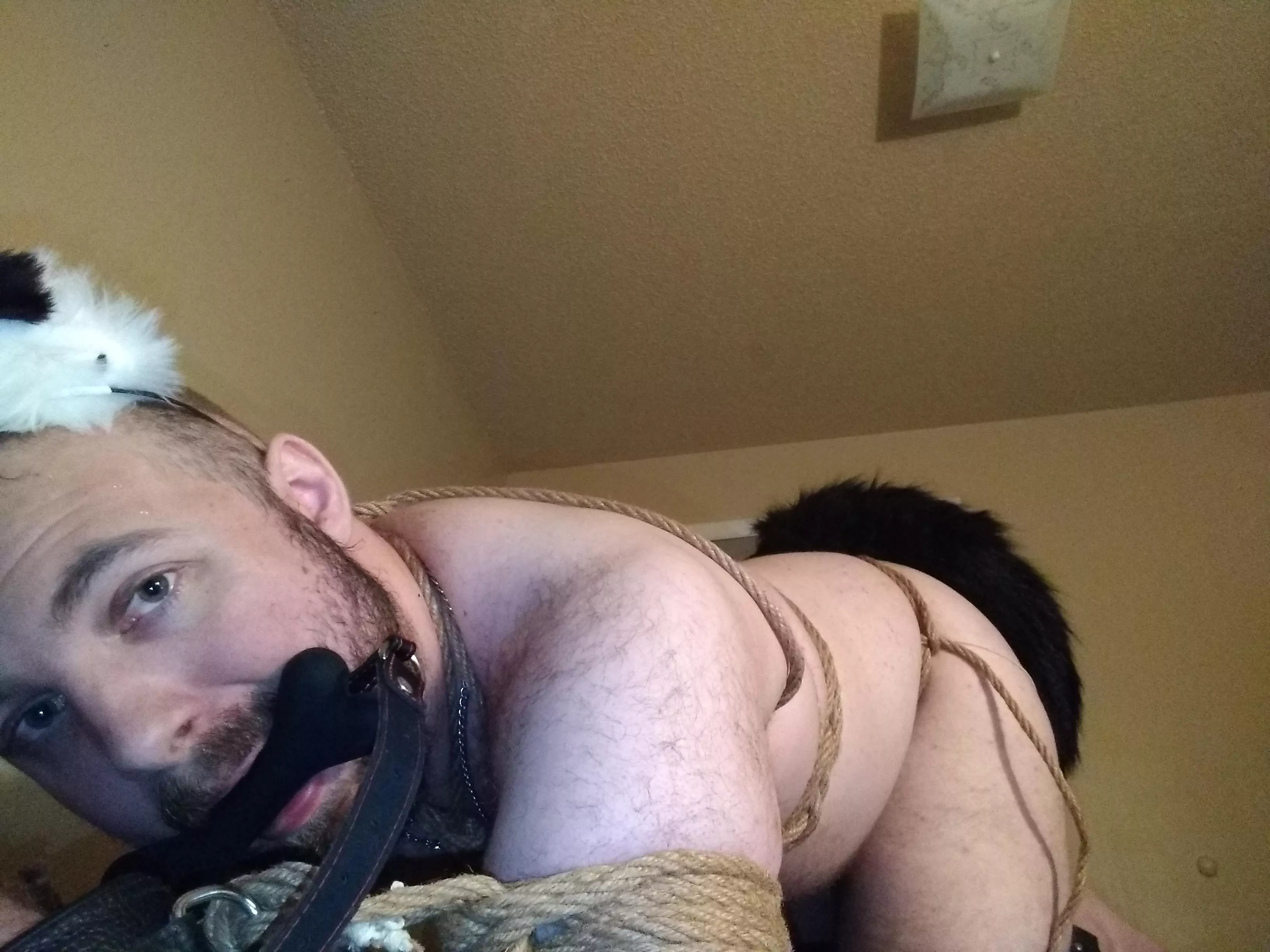 [OC] Chewing on my bone before laying down for the night