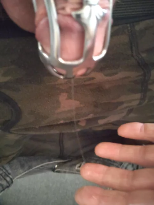 reapplied cage and damn