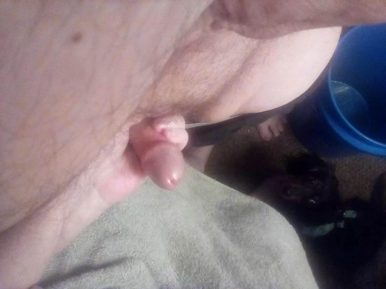The Wife Has A Handful Of My Cock!