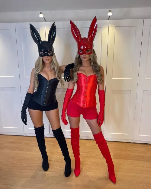 Which bunny?