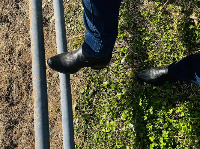 Why is it that ppl w/ Boot kinks are ONLY into English mucking boots.. or fancy english riding boots?? How come no one is into western riding boots? or regular western cowgirl boots??? 🧐 sooo genuinely curious about this? any insight is much appreciat