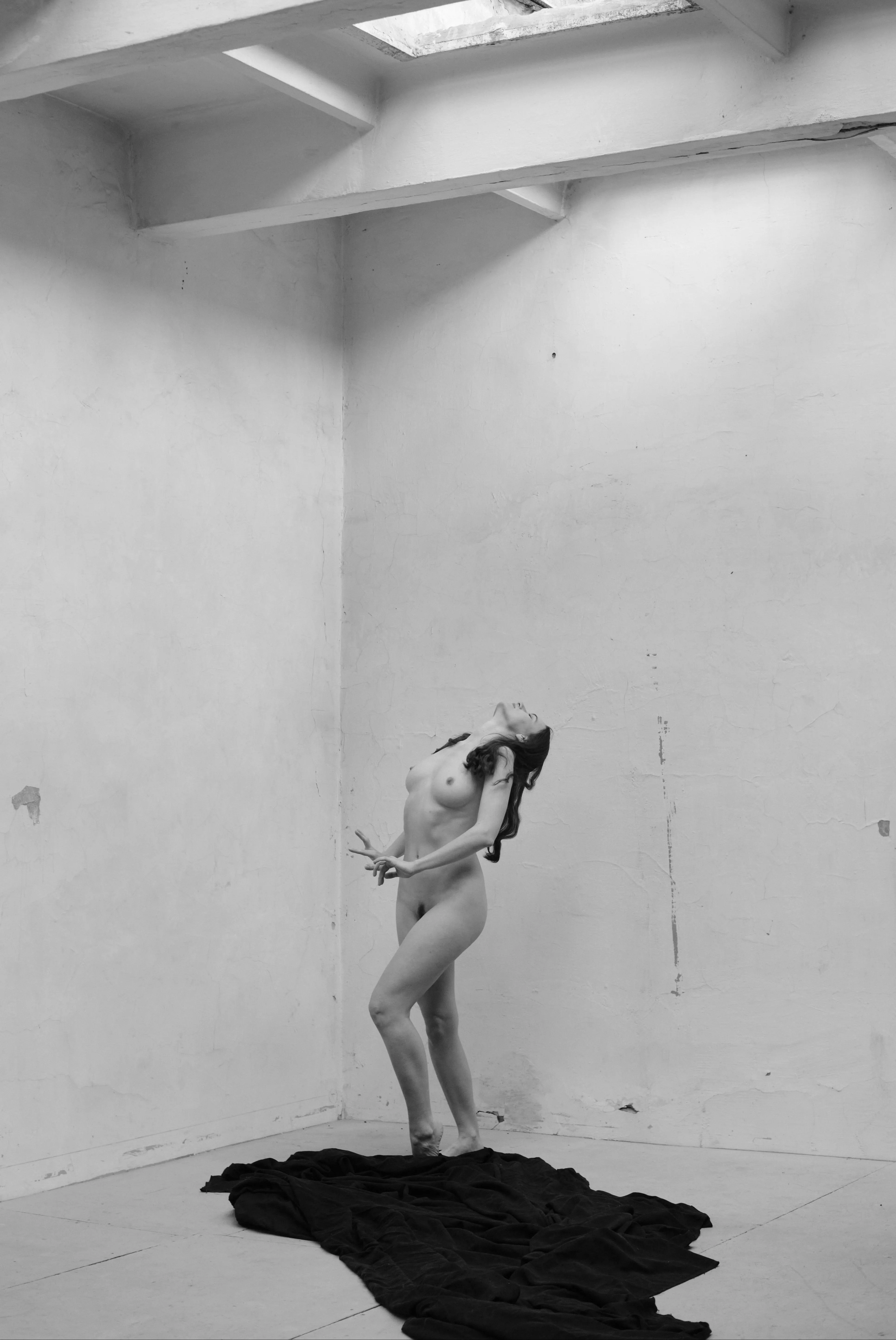 Wild dances by Viktor Chornyi