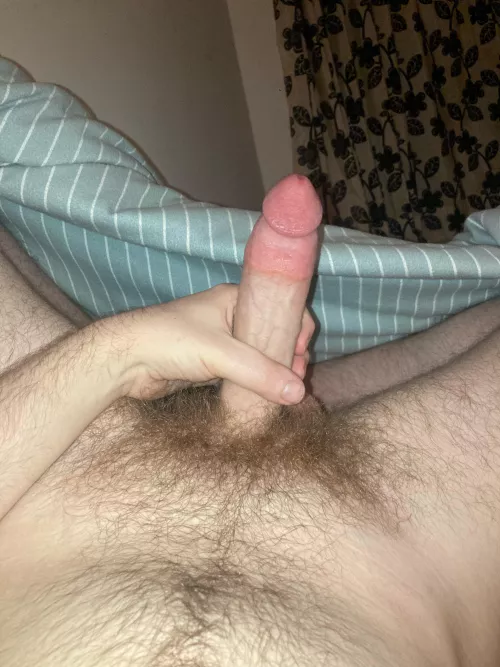 26 gay looking to trade, especially with older or guys who show face. Add klw_929
