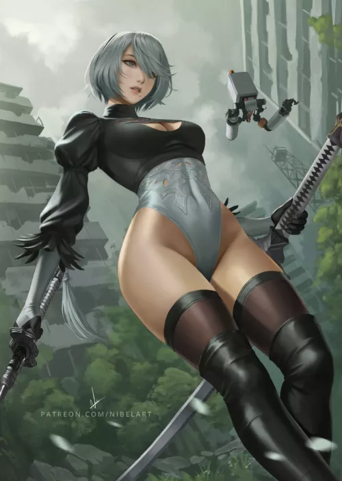 2B exploring (nibelart)