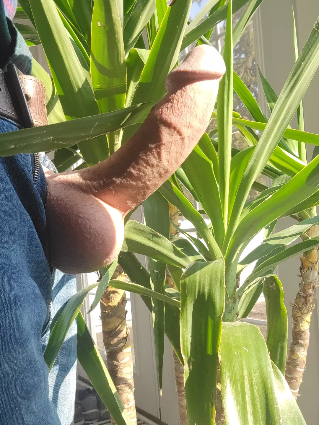 (61) March Buckeye Wood