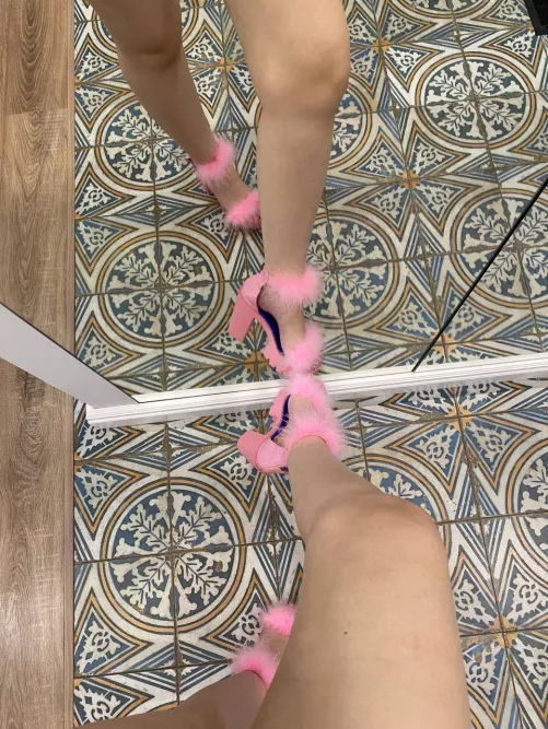 Amazing from all angles [F]