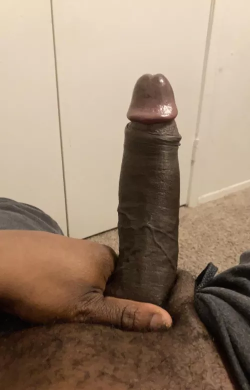 Another morning waking up to no pussy in my bed….