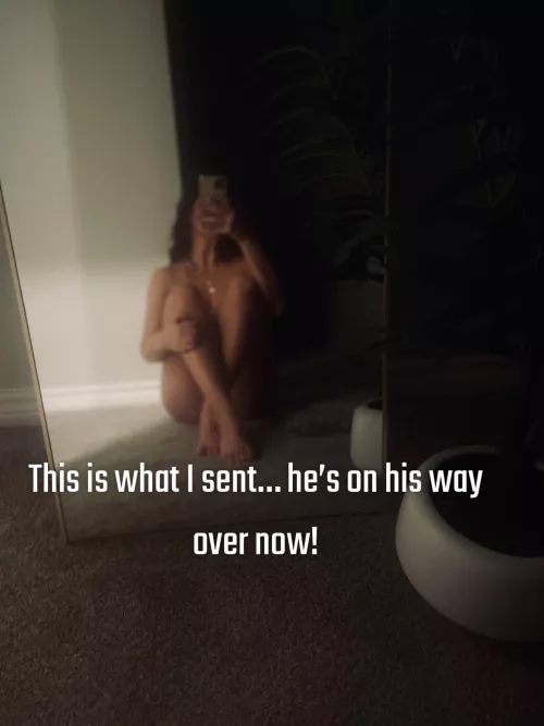 Can’t wait for my new bull to come over!