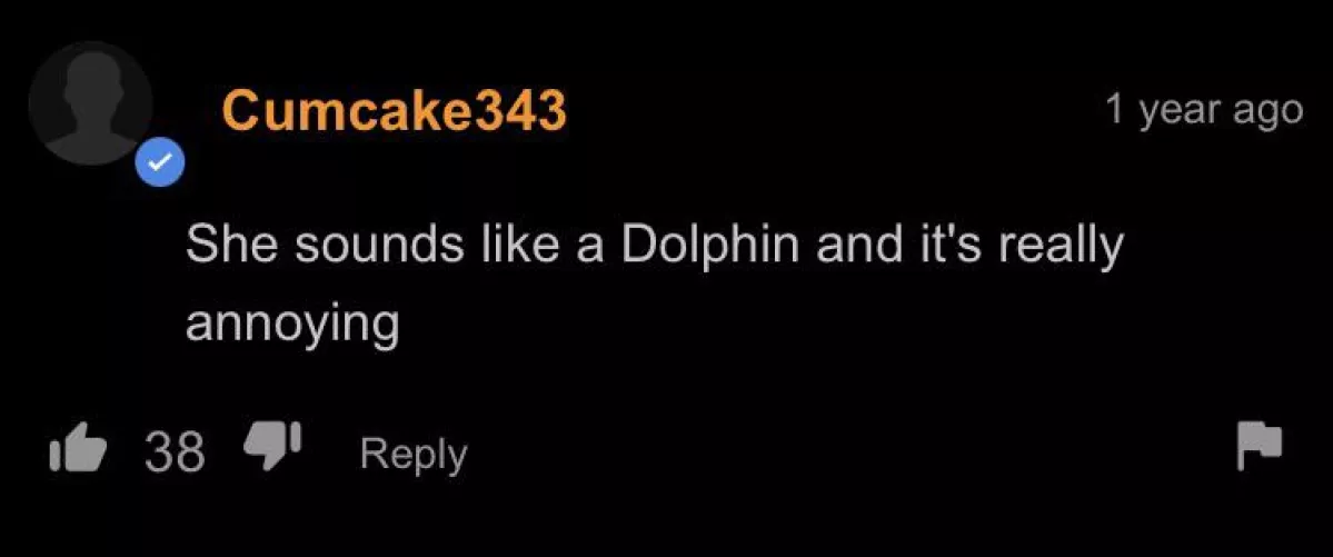 Dolphin🐬