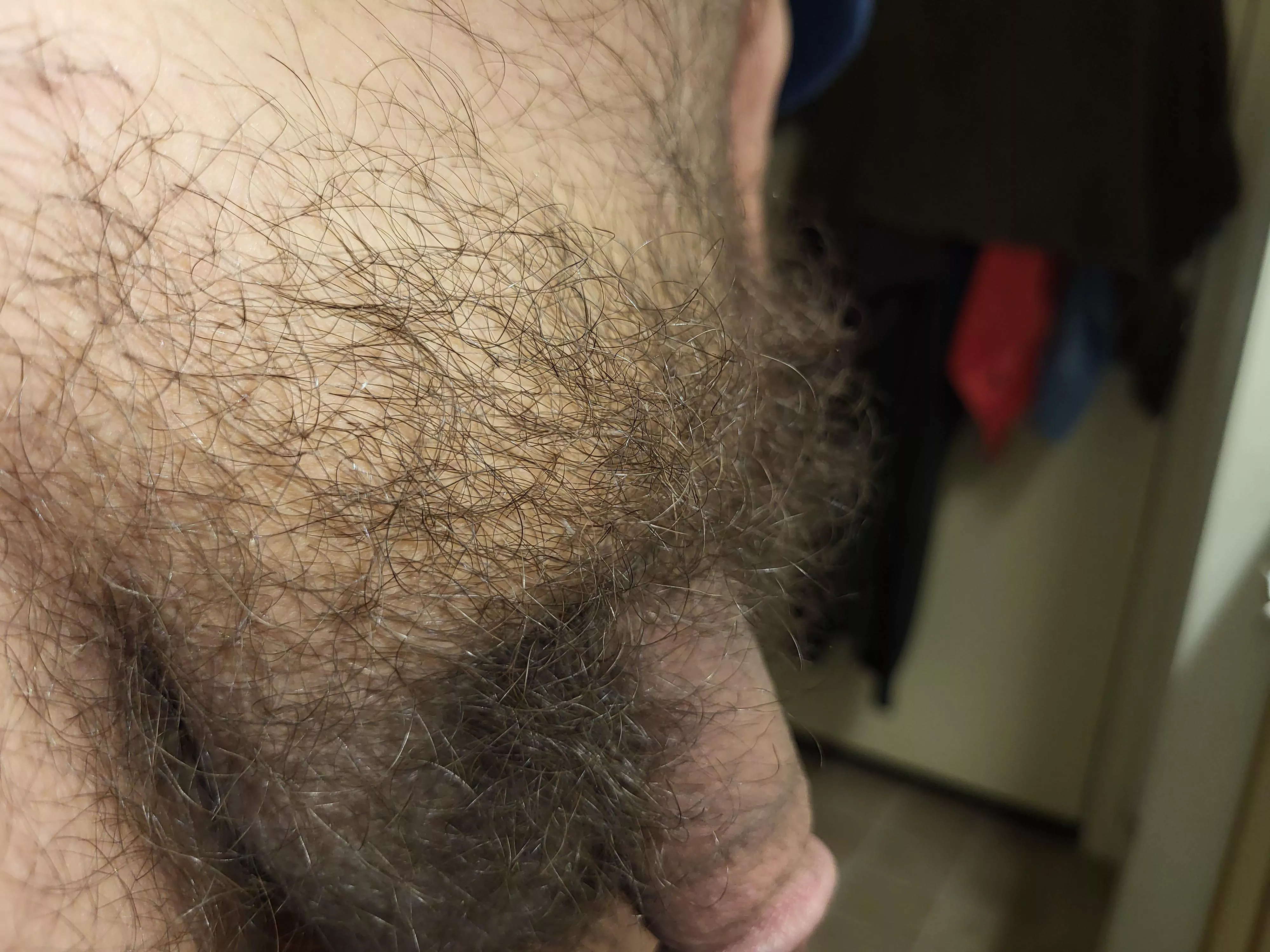 feeling BUSHy today! (41) think I need a trim?
