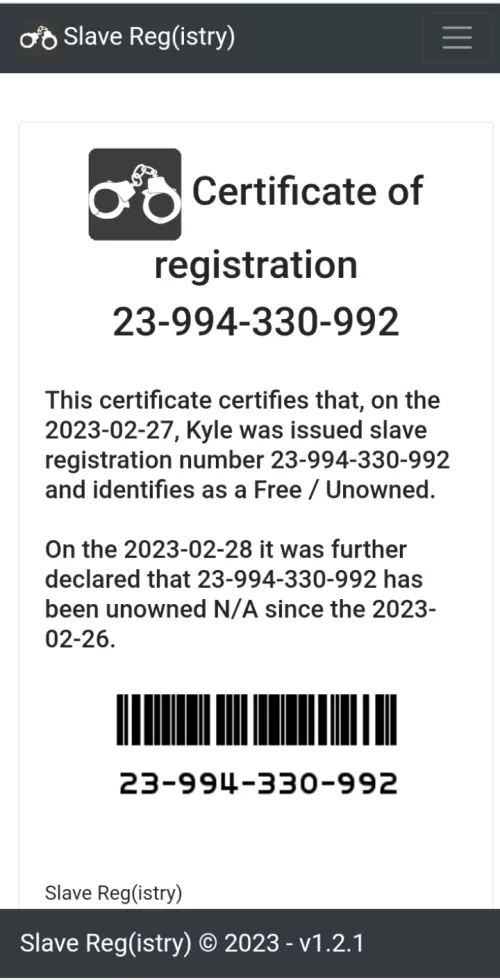 First time Male Slave looking for his first master