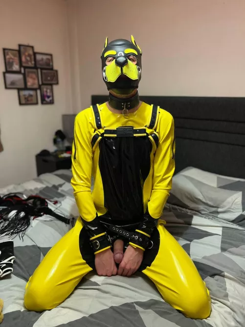 First time trying Pup play and loved it a lot