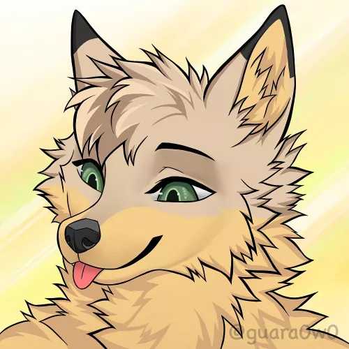 Fox icon (art by me)